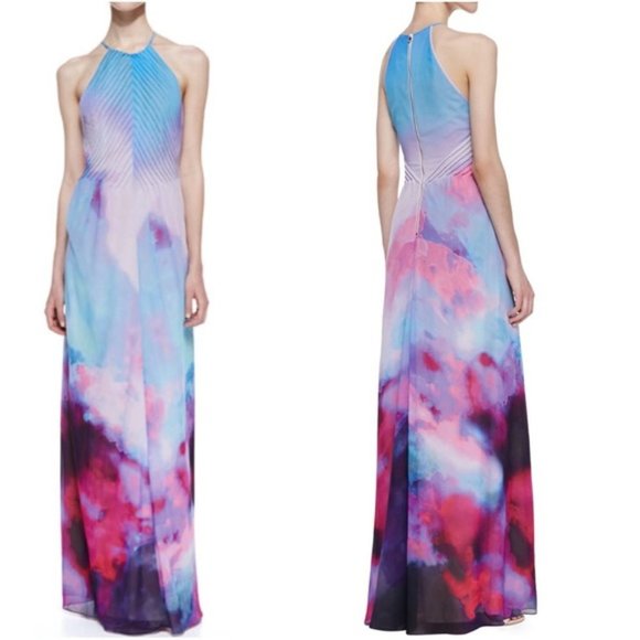 Ted Baker London Dresses & Skirts - Ted Baker Alexiss Summer At Dusk Print Maxi Dress